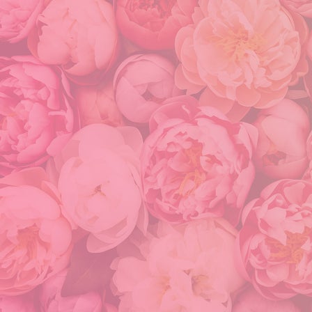 RIVAL loves me Banner zur Limited Edition Beauty Bouquet mit Blush und Bronzer in dekorativen Dosen mit rosenförmiger Prägung auf rosa Blumenhintergrund