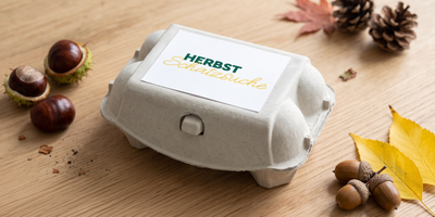 Weißer Eierkarton als Sammelbox für Herbst-Naturmaterialien, befüllt mit Kastanien, Eicheln, Kiefernzapfen und buntem Herbstlaub, beschriftet mit einem Schild „HERBST Schätze" auf hellem Holzuntergrund